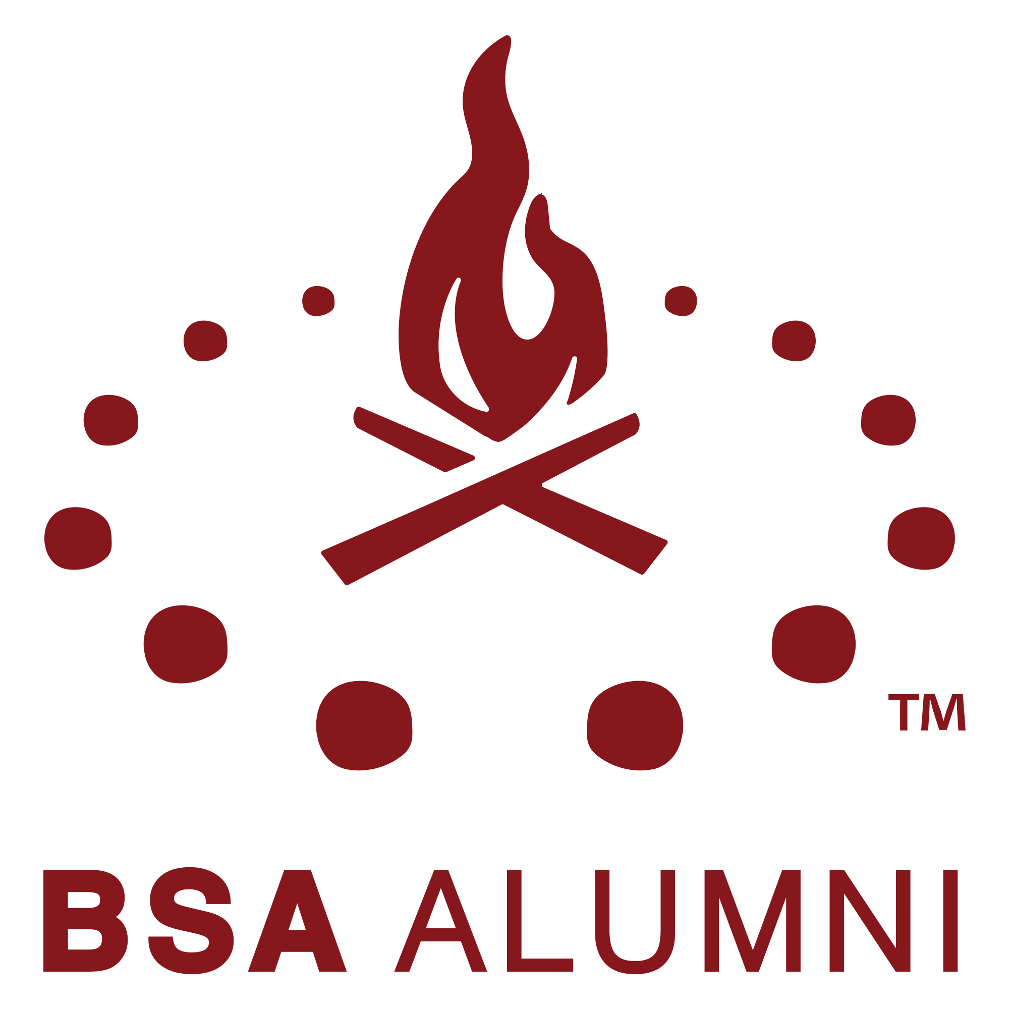 Branding - BSA Alumni Association